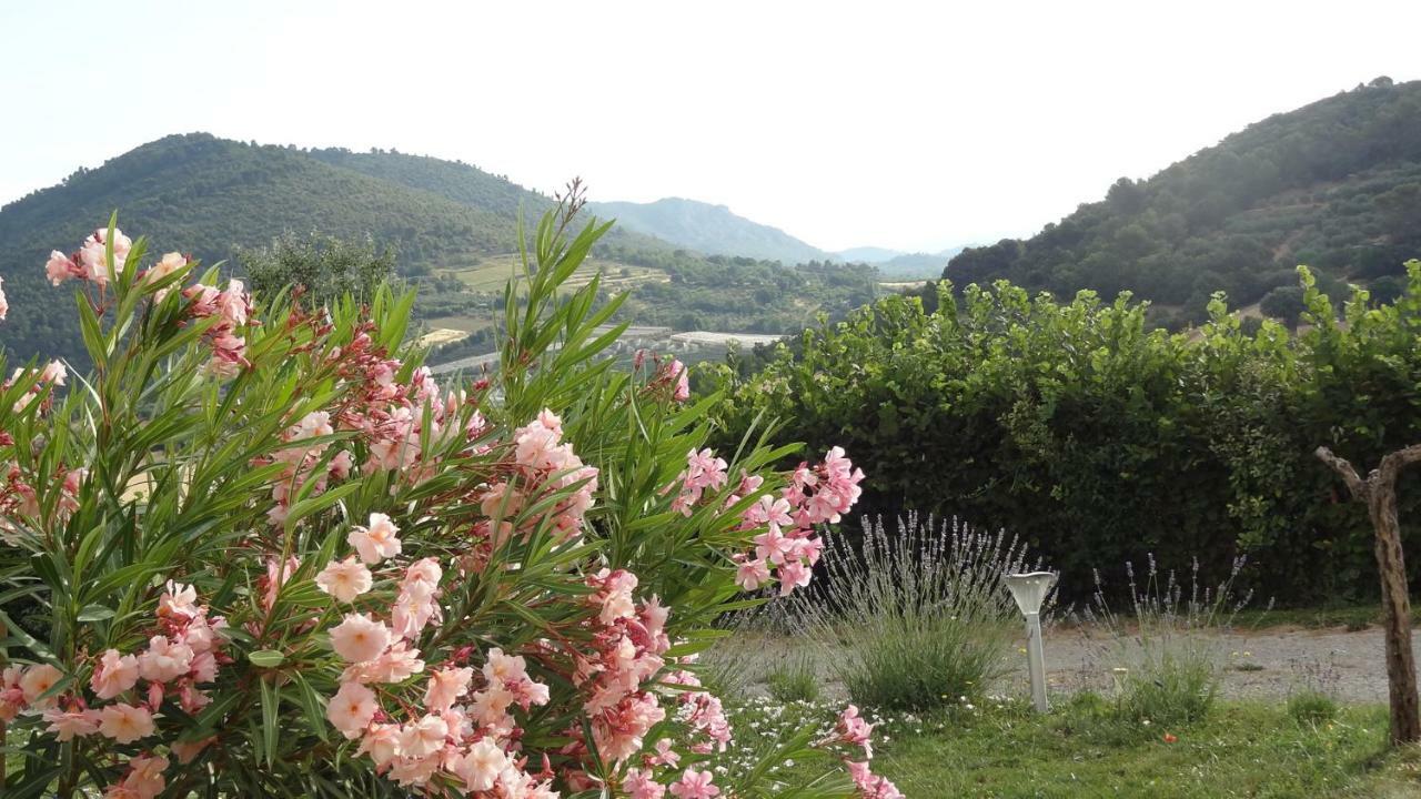Les Chevrefeuilles Lejlighed Manosque Eksteriør billede